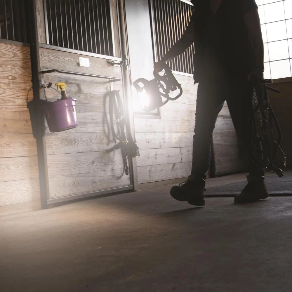 Discount π― Kobalt Work Lights 2-Pack LED Portable Work Light β 3 Discount π― Kobalt Work Lights 2-Pack LED Portable Work Light β - Image 3