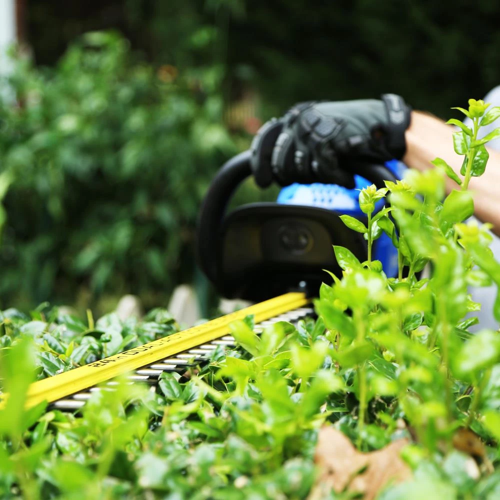 Hot Sale ✔️ Kobalt Cordless Electric Hedge Trimmers 40v Gen II Hedge Trimmer Tool Only ⭐ 4 Hot Sale ✔️ Kobalt Cordless Electric Hedge Trimmers 40v Gen II Hedge Trimmer Tool Only ⭐ - Image 4